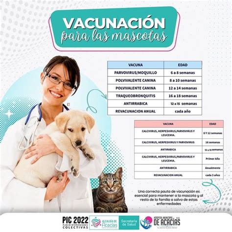 Vacunas para maxcoyas gratis